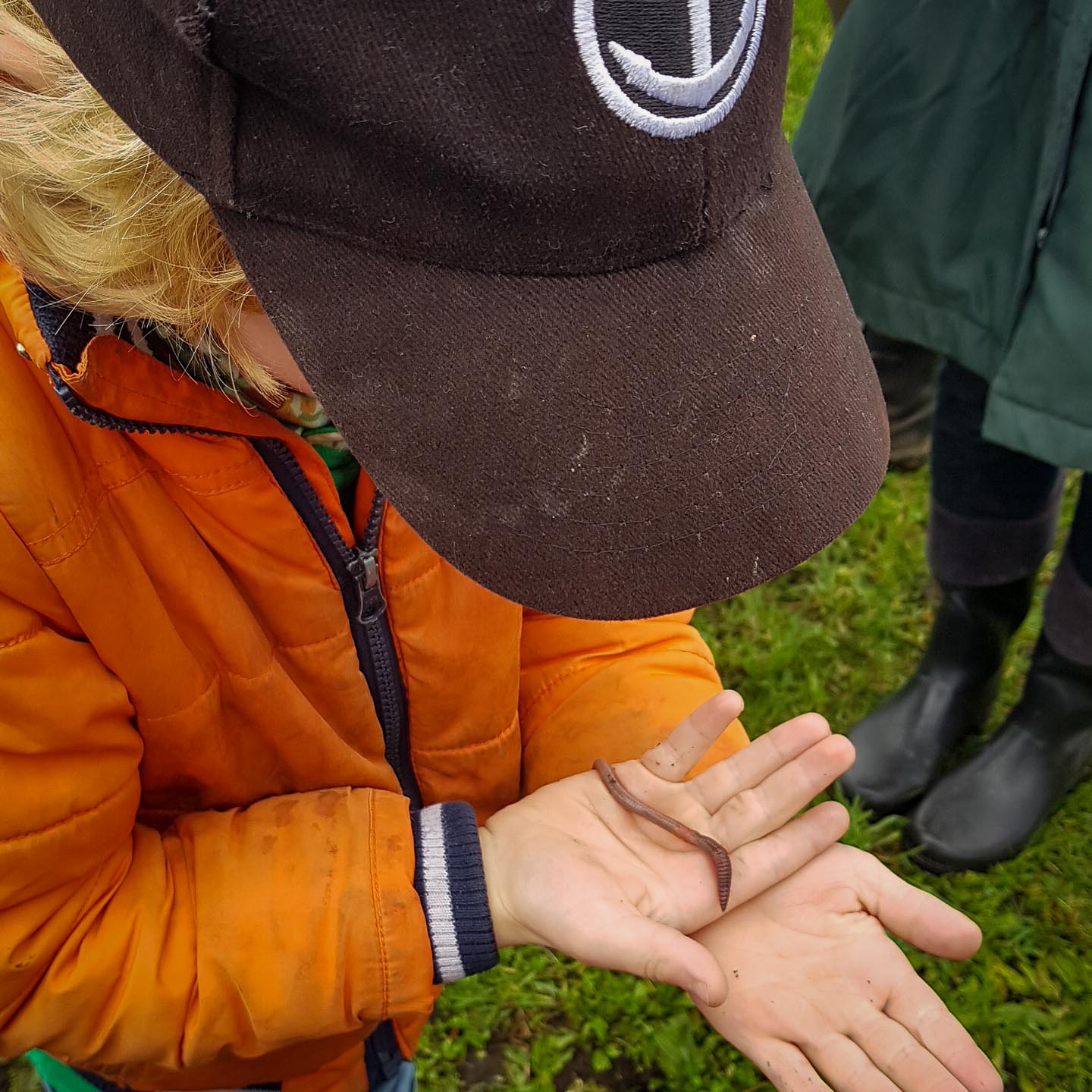vijf redenen natuur