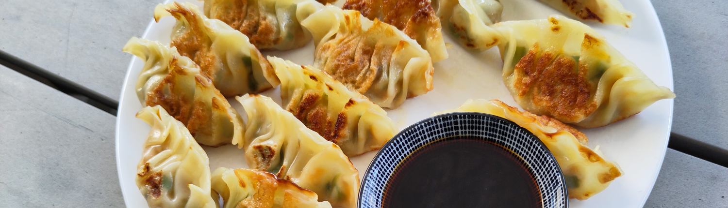 Japanse gyoza met shittake en tofu