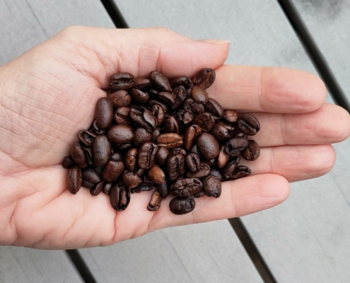 Duurzaam koffie drinken 6 tips voor een milieuvriendelijk bakkie troost