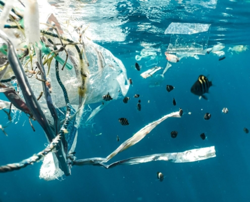 Plastic in ons milieu en lichaam: microplastics voorkomen