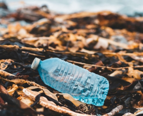 Plastic in ons milieu en lichaam: microplastics voorkomen