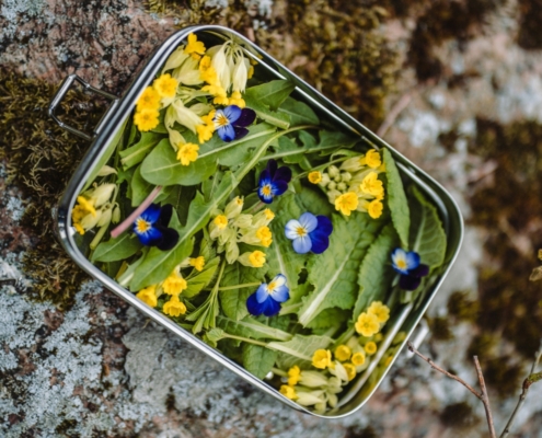 Wildplukken in de lente