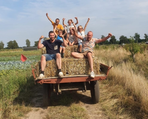 biologische groenten kopen herenboeren