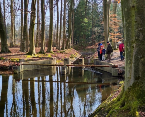 duurzaam weekje weg in flevoland bezoek het waterloopbos