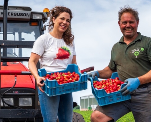 no waste army header