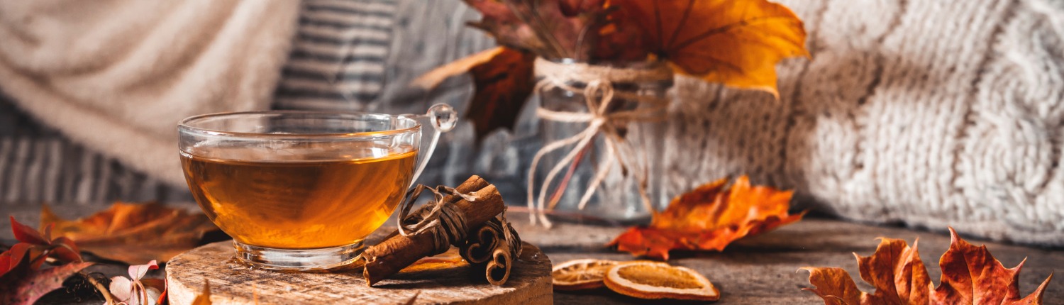 natuurlijk decoratie herfst header