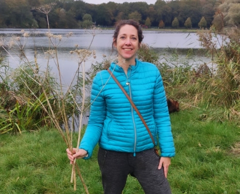 natuurlijke decoratie herfst berenklauw