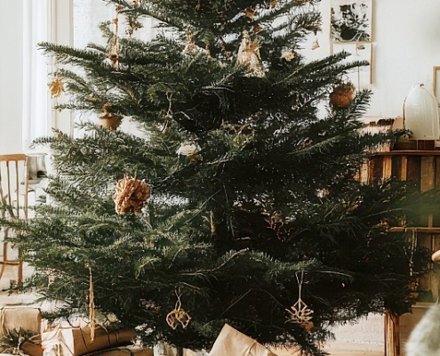 duurzame kerstboom alternatieven