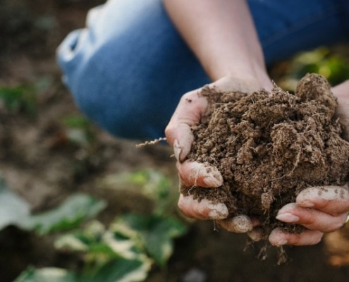 regeneratieve landbouw hype of oplossing