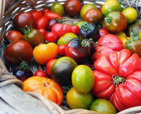 Tomaten verwerken en bewaren, hoe doe je dat op een duurzame manier?