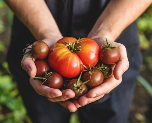 8x plantaardige recepten met tomaten